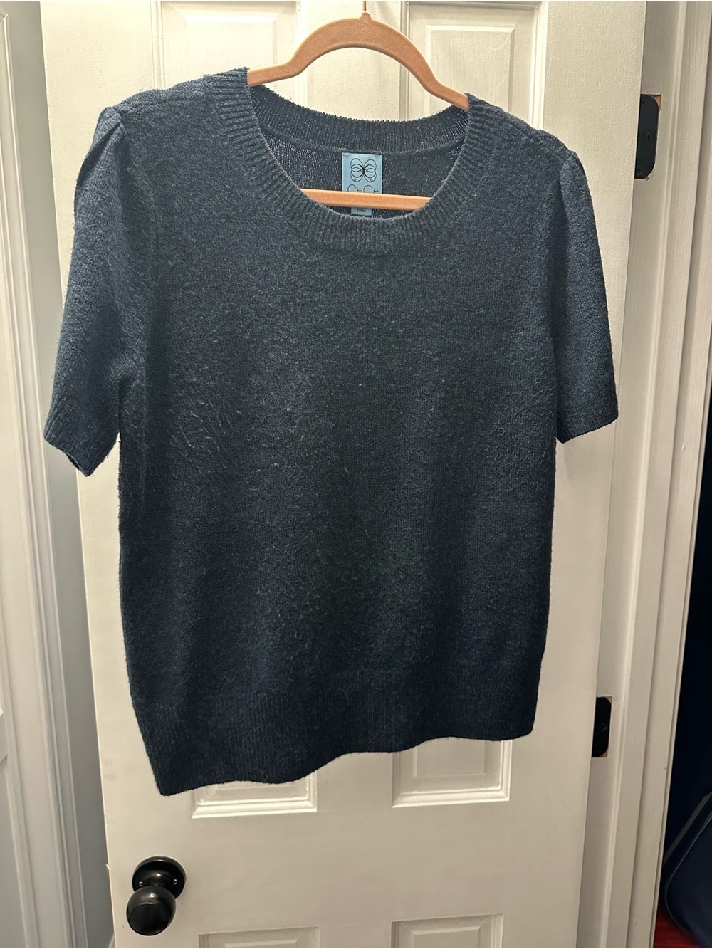 CeCe Slate Blue Short Sleeve Crewneck Sweater